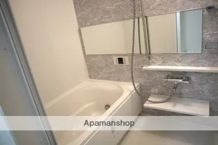 ル パルテール 大濠【7階】の風呂