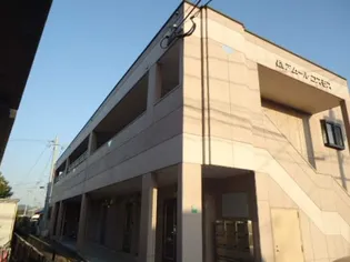 アムールコスモスの画像