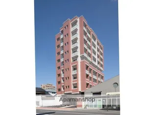 ラファエロの画像