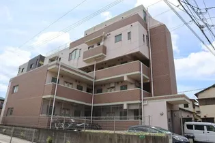 MAISON CELESTE【1階】の外観