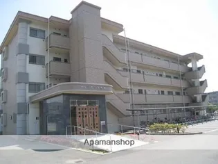 フォンテーヌ朱雀【4階】の外観