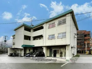 コート15の画像