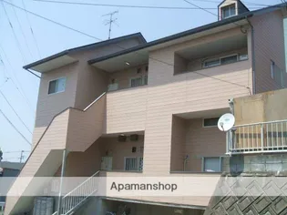 シティベールマサミの画像