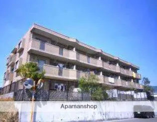 M'Sテラスの画像