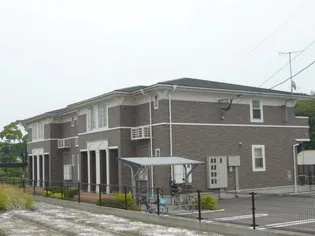 メゾンフィオーレの画像