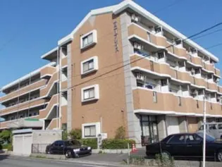 サニープレイスの画像