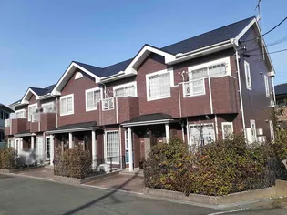 プレミールの画像