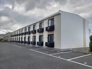 レオネクストシャローFの画像