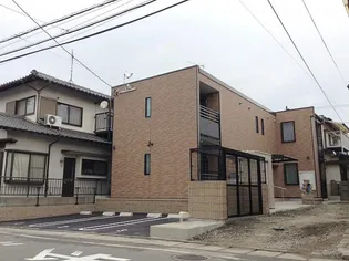 レオネクストミーツハオ シャッツの画像