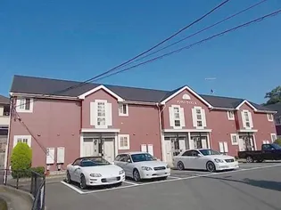 ダンディーライオンAの画像