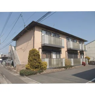 ステラコートの画像