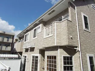 ツインセリエスAの画像