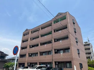 グランディールチェリーの画像