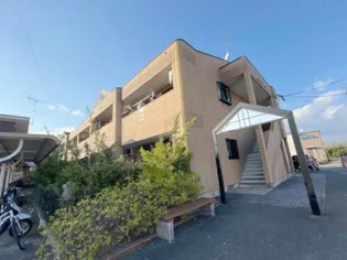 ピュアライズの画像