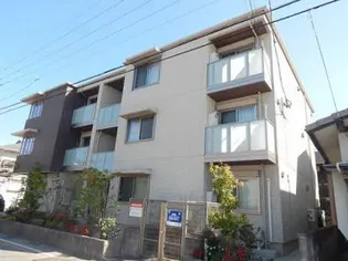 プルメリアの画像