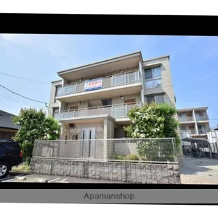 サザンクロスの画像