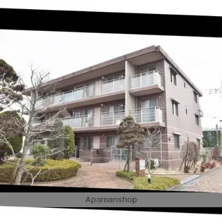 ステラ23の画像