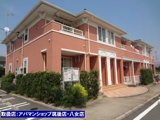 プリムローズDの画像