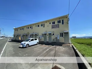 パディーフィールドの画像