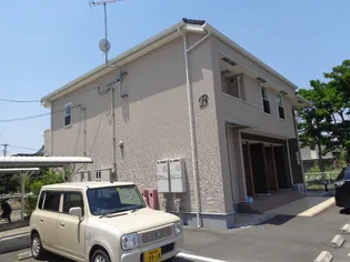 プリムラBの画像