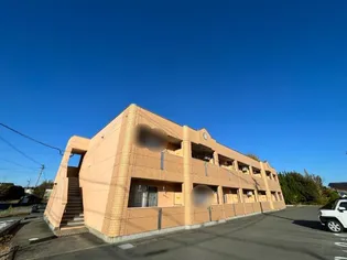 SUN FITの画像
