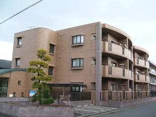 メゾンドームの画像