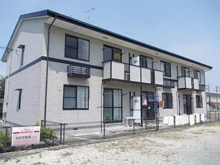 サニーカーサの画像