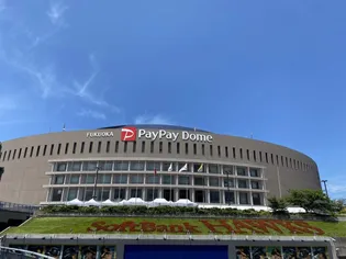 クレイドル室見B棟【2階】の周辺