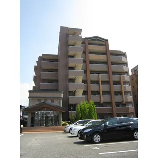 ヴェランティーヌ石丸の画像