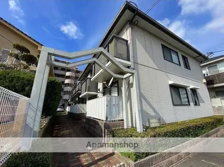 サンブライト観光通りの画像