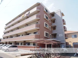 エレガンスマルフクの画像