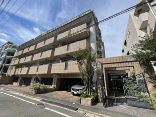 マノアール アイの画像