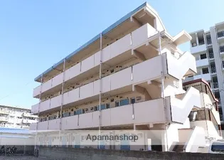 フォーサイト原RENATUSの画像