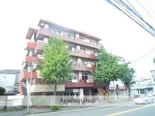 寿ハイツ【4階】の外観