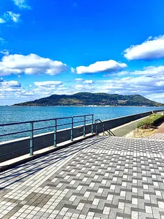 シーサイド横浜【102号室】の周辺