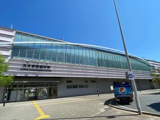 シーサイド横浜【102号室】の周辺