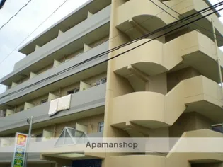 パインテール高宮東の画像