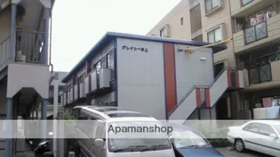 グレイシー井上の画像