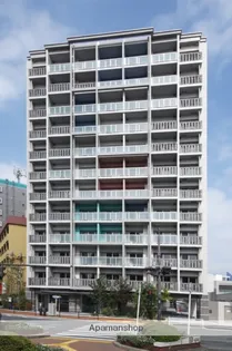 サヴォイ ザ ブルネットの画像