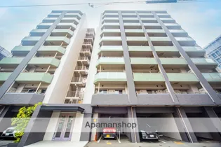 ネストピア薬院東の画像