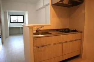 ル パルテール大濠【0704号室】のキッチン