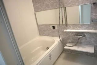 ル パルテール大濠【0704号室】の風呂