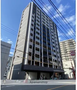 PRADO OHASHIの画像