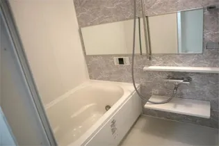 ル パルテール大濠【0704号室】の風呂