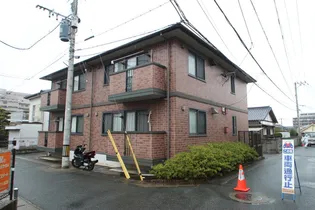 ウィルモア干隈の画像