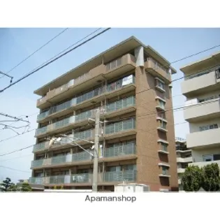 エレガントヴェルスの画像