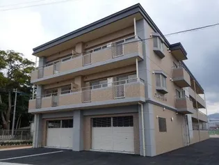 アンバーサルMの画像