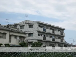 ロフティ冨永の画像