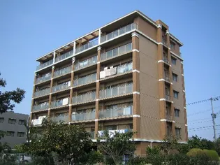 ロングライフIIの画像