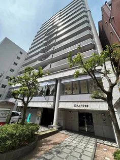 エステートモア赤坂【5階】の外観